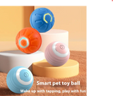 Interactive Smart Dog Toy Ball